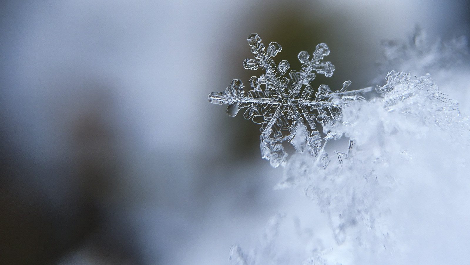 La table flocon neige