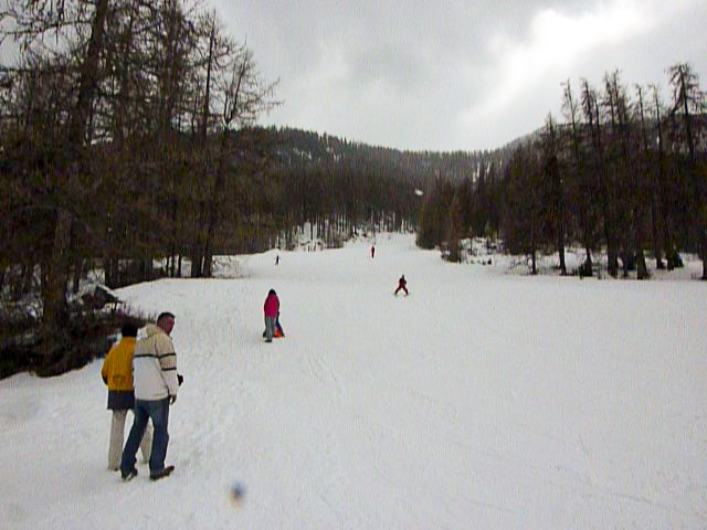 Skiing ski alpin 2