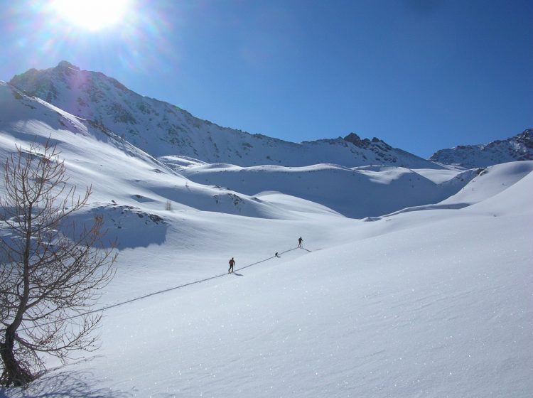 Skiing ski rando